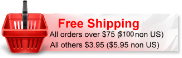 Free Shipping Special
