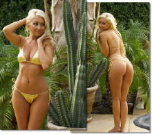 Biarritz G-String bikini swim suits by Brigite